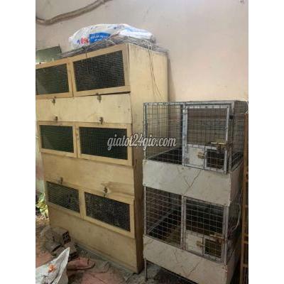 đồ dùng cho thú cưng - bình chánh - hồ chí minh | Chuồng vật nuôi Gỗ, Kim ...