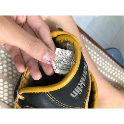 đồ dùng thể thao - sơn trà - đà nẵng | Găng tay bóng chày Franklin ...