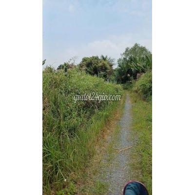 đất nông nghiệp - nhà bè - hồ chí minh | Bán đất nn 1949m2 xã long thới nhà bè hcm chỉ ...