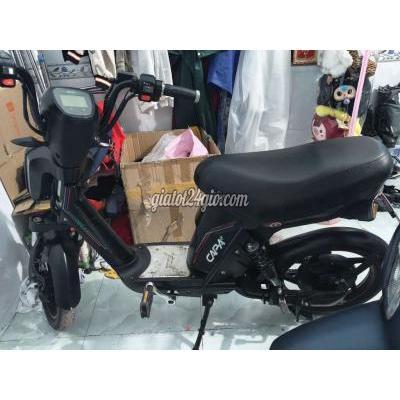 xe đạp điện - củ chi - hồ chí minh | Xe đạp điện Pega Capa ...