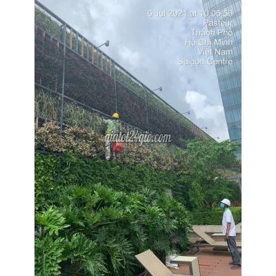 tuyển dụng - nhà bè - hồ chí minh | Tuyển dụng nhân sự chăm sóc cây xanh. Việc ổn ...