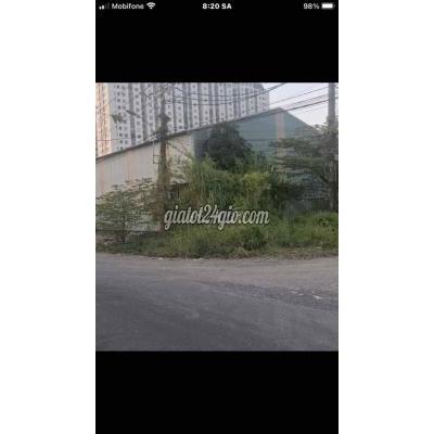 cho thuê mặt bằng - quận 8 - hồ chí minh | CHO THUÊ KHO 2000m2 DÀI HẠN ...