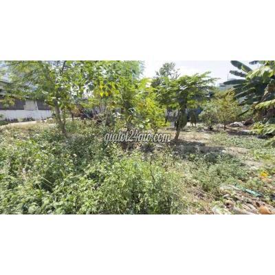 đất thổ cư - hóc môn - hồ chí minh | Đất thổ cư 5x20m, hẻm Đồng Tâm gần Cafe Thảo Nguyên, Tân Xuân-Hóc ...