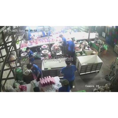 tuyển dụng - gò vấp - hồ chí minh | 20 lao động Lương 8.5 đến 15 ...