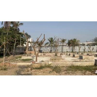 đất thổ cư - thủ đức - hồ chí minh | Cho Thuê Đất Trống 2200m2 - Gần Vinhomes - Quận ...