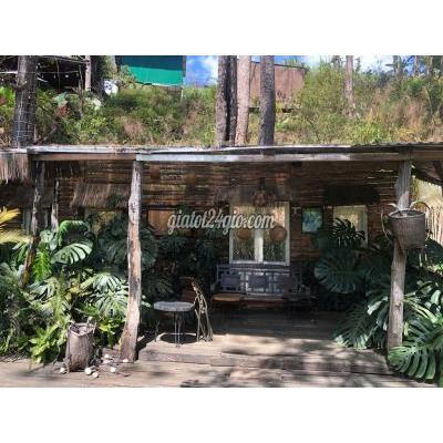 tuyển dụng - đà lạt - lâm đồng | HOA RỪNG COFFEE TUYỂN VỊ TRÍ PHA CHẾ, PHỤC ...