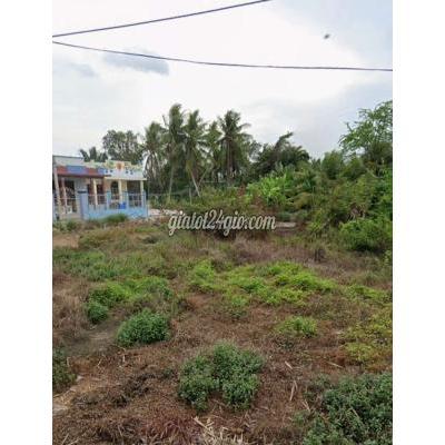 đất thổ cư - cần giuộc - long an | Chính chỉ cần bán 4 miếng đất full thổ cư đường Mai Văn ...