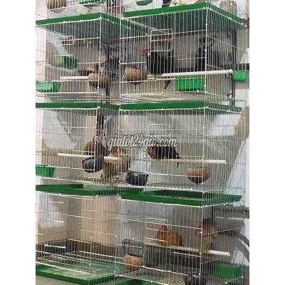 đồ dùng cho thú cưng - bình tân - hồ chí minh | Lồng chim kim loại ...