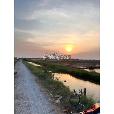 đất thổ cư - củ chi - hồ chí minh | CHÍNH CHỦ CẦN BÁN 4Lô ĐẤT THỔ CƯ FULL , MT ĐƯỜNG ...