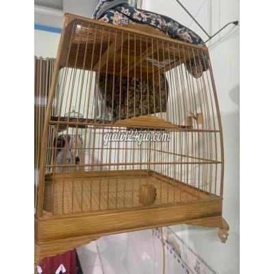 đồ dùng cho thú cưng - biên hòa - đồng nai | chim bay lồng bay ...