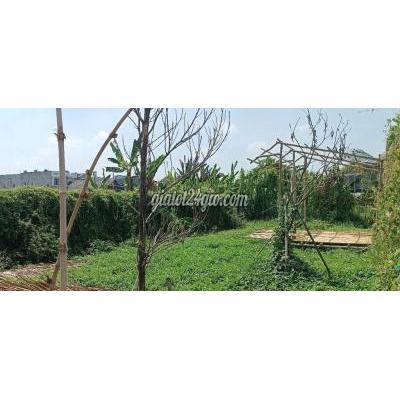 đất nền - củ chi - hồ chí minh | Đất đường Bình Mỹ ô tô thông, 10x25m, tiện xây nhà ...