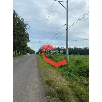 đất thổ cư - bàu bàng - bình dương | KẸT TIỀN BÁN GẤP ĐẤT MT ĐƯỜNG DH619 LONG ...