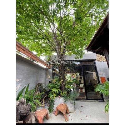 bán nhà - quận 12 - hồ chí minh | Biệt Thự Vườn 9m x 41m. Sát sông Sài Gòn Đường Thạnh Lộc ...