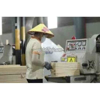 tuyển dụng - trảng bom - đồng nai | KCN Giang Điền Đ/Nai Tuyển 300 NAM ...