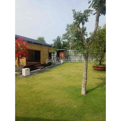 đất nông nghiệp - hóc môn - hồ chí minh | siêu phẩm nhà vườn trên đất nông ...