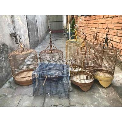 chim cảnh - quận 8 - hồ chí minh | Lồng chim Tre, Kim ...