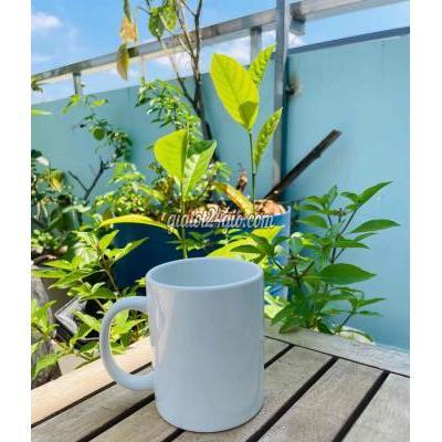 đồ dùng nhà bếp - thủ đức - hồ chí minh | Ly sứ Minh Long I Jasmine Trắng ...