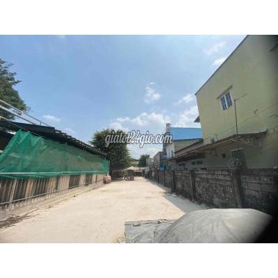 đất nông nghiệp - thuận an - bình dương | Cho thuê đất gần chợ Lái ...