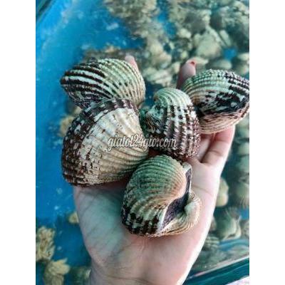 tuyển dụng - quận 7 - hồ chí minh | Tuyển nam giao ...