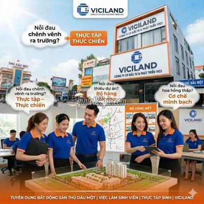 tuyển dụng - thủ dầu một - bình dương | Nhân Viên SALES BĐS Viciland Lương Thưởng ...