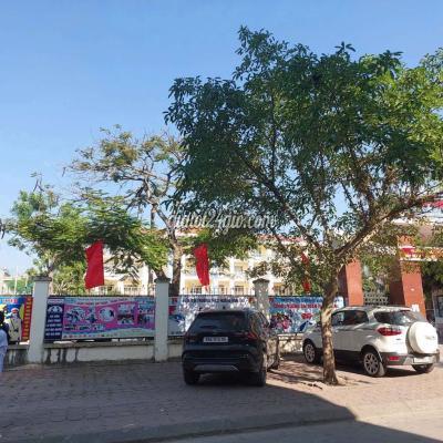 đất thổ cư - bắc giang - bắc giang | Chính chủ bán đất thổ cư gần trường Hoàng Văn Thụ, 110 m2 giá 5 ...