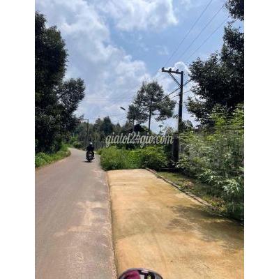 đất thổ cư - long khánh - đồng nai | CHỈ 290 TRIỆU SỞ HỮU ĐẤT GẦN NGÃ 3 TÂN PHONG Vị trí ...