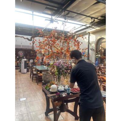 tuyển dụng - quận 10 - hồ chí minh | Tuyển phụ bếp quán ...