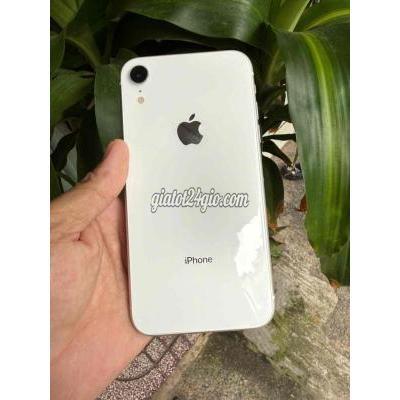 điện thoại iphone - thuận an - bình dương | Apple iPhone XR Trắng Đã sử dụng ...