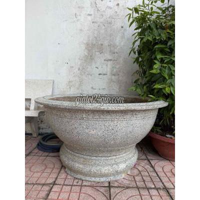 cây cảnh - biên hòa - đồng nai | Chậu cây cảnh ...