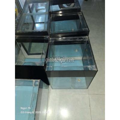 đồ dùng cho thú cưng - thuận an - bình dương | Hồ cá kính 5ly 45x45 cm khoắt đáy ...