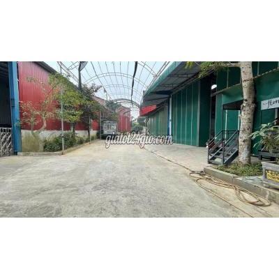 đất thổ cư - sóc sơn - hà nội | BÁN NHÀ XƯỞNG 900M2 ĐANG KINH DOANH THÔN XUÂN ĐỒNG XÃ TÂN MINH SÓC ...