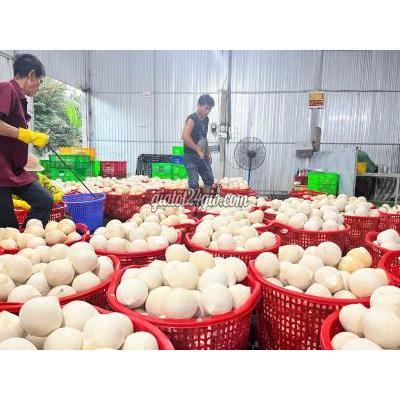tuyển dụng - giồng trôm - bến tre | TUYỂN DỤNG KẾ TOÁN ...