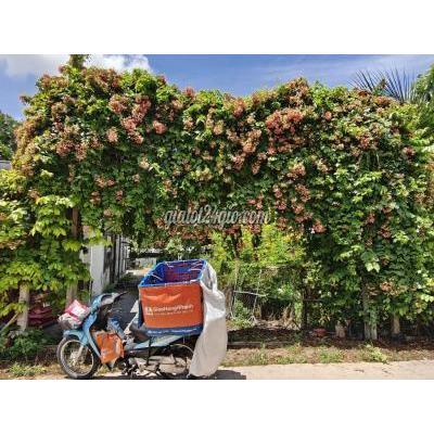 tuyển dụng - bến cát - bình dương | GHN TÌM SHIPPER BẾN ...