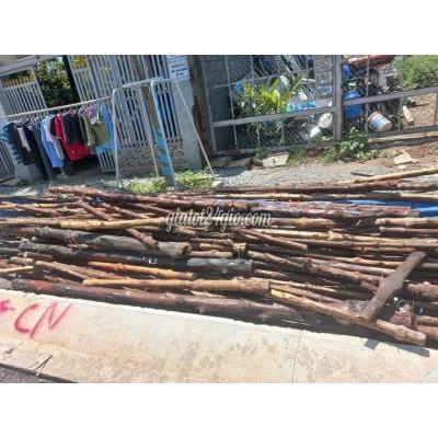 Nội Thất, Đồ Gia Dụng Thành Phố Thủ Dầu Một - Bình Dương 1 Xe Tải Cây Đước Đã Qua Xử Dụng Nội Thất, Đồ Gia Dụng Thành Phố Thủ Dầu Một - Bình Dương 1 Xe Tải Cây Đước Đã Qua Xử Dụng