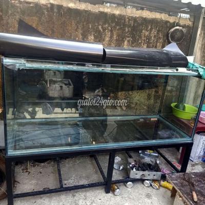 phụ kiện, thức ăn, dịch vụ huyện hóc môn - hồ chí minh | hồ kính ...