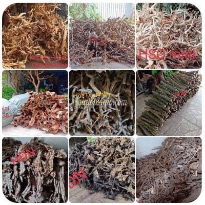 phụ kiện, thức ăn, dịch vụ quận gò vấp - hồ chí minh | lũa sỉ số ...