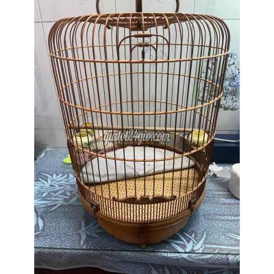 Phụ Kiện, Thức Ăn, Dịch Vụ Quận 8 - Hồ Chí Minh Lồng 60 Tre Lên Màu Đẹp Phụ Kiện, Thức Ăn, Dịch Vụ Quận 8 - Hồ Chí Minh Lồng 60 Tre Lên Màu Đẹp
