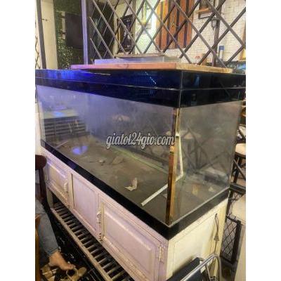 phụ kiện, thức ăn, dịch vụ quận gò vấp - hồ chí minh | hồ cá ...