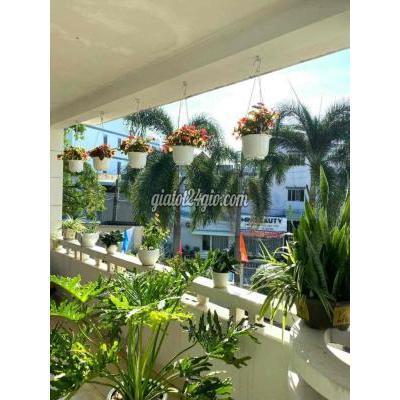 Sang Nhượng Mặt Bằng Kinh Doanh Thành Phố Biên Hòa - Đồng Nai Bán Mặt Băng Quán Cape An Bình Hoả Hoà Đồng Nai Sang Nhượng Mặt Bằng Kinh Doanh Thành Phố Biên Hòa - Đồng Nai Bán Mặt Băng Quán Cape An Bình Hoả Hoà Đồng Nai
