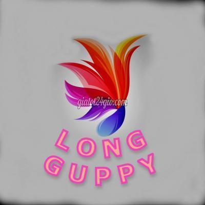 thú cưng khác huyện thống nhất - đồng nai | cá cảnh 7 màu ...