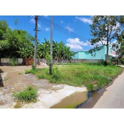 Thuê Đất Thành Phố Sóc Trăng - Sóc Trăng Cho Thuê Đất Nền Mặt Tiền Đại Lộ Vỏ Văn Kiệt F10 Tp Sóc Trăng Thuê Đất Thành Phố Sóc Trăng - Sóc Trăng Cho Thuê Đất Nền Mặt Tiền Đại Lộ Vỏ Văn Kiệt F10 Tp Sóc Trăng