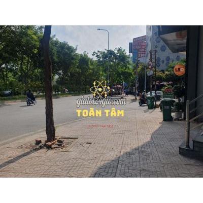 Thuê Mặt Bằng Kinh Doanh Thành Phố Thủ Đức - Hồ Chí Minh Cho Thuê Tòa Nhà Văn Phòng Gốc 3mt Trần Não Cực Kỳ Đẹp 500m2 Thuê Mặt Bằng Kinh Doanh Thành Phố Thủ Đức - Hồ Chí Minh Cho Thuê Tòa Nhà Văn Phòng Gốc 3mt Trần Não Cực Kỳ Đẹp 500m2
