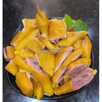 Thuê Mặt Bằng Kinh Doanh Quận Tân Bình - Hồ Chí Minh Sang Nhượng Cửa Hàng Gà Ủ Muối Thuê Mặt Bằng Kinh Doanh Quận Tân Bình - Hồ Chí Minh Sang Nhượng Cửa Hàng Gà Ủ Muối