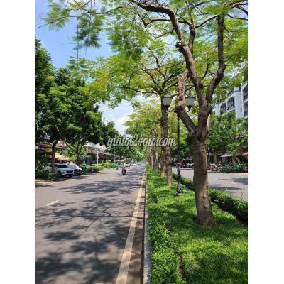 thuê mặt bằng kinh doanh thành phố thủ đức - hồ chí minh | cho thuê văn phòng mặt tiền đường nguyễn thị nhung giá ...