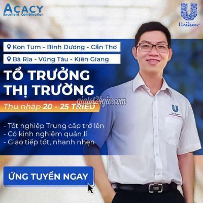việc làm huyện cai lậy - tiền giang tổ trưởng thị trường unilever