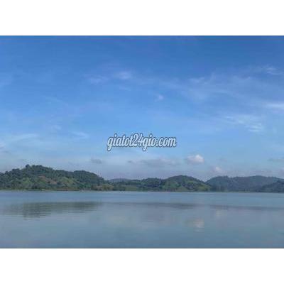 Việc Làm Quận Gò Vấp - Hồ Chí Minh Tuyển Người Phụ Làm Sầu Riêng Và Lễ Tânh Sạn Việc Làm Quận Gò Vấp - Hồ Chí Minh Tuyển Người Phụ Làm Sầu Riêng Và Lễ Tânh Sạn