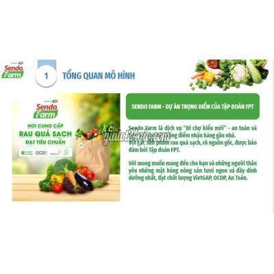 việc làm quận 7 - hồ chí minh nhân viên phát triển thị trường (quận 7)