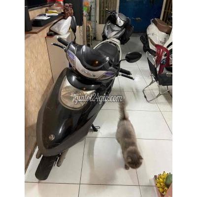 Xe Máy Quận Bình Tân - Hồ Chí Minh Cần Bán Xe Attila Xe Máy Quận Bình Tân - Hồ Chí Minh Cần Bán Xe Attila