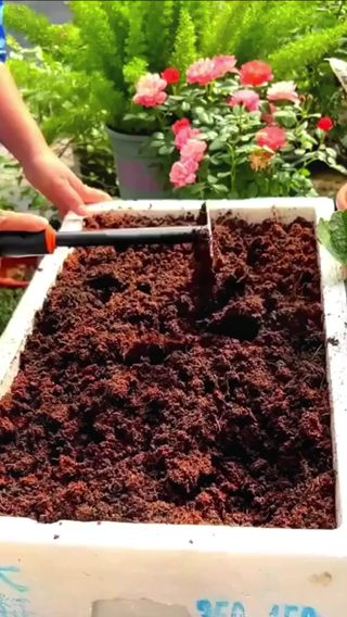 Đất Trồng Cây Viên Đất Nén Xơ Dừa Tiện Ích diệt khuẩn kháng sâu bệ...