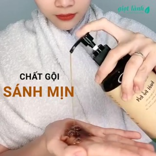 Dầu gội bồ kết - bưởi cô đặc, dầu gội thảo dược kích thích mọc tóc...